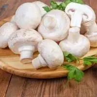 Button Mushroom