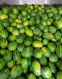 Export Quality Of Fresh Watermelons