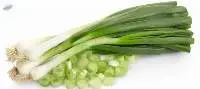 A Grade Fresh Spring Onion