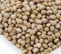 Pigeon Peas