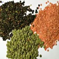 Lentils