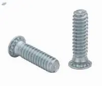 Clinch Screws