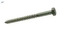 Coach Screws
