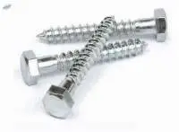 Hex Coach Screws