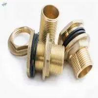 Brass Adaptor
