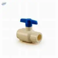 CPVC Valve
