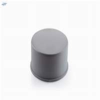 PVC Cap