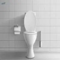 CLASSIC WHITE CERAMIC TOILET BOWL