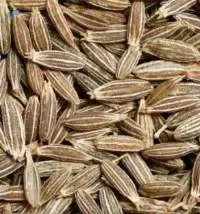 Cumin Seeds