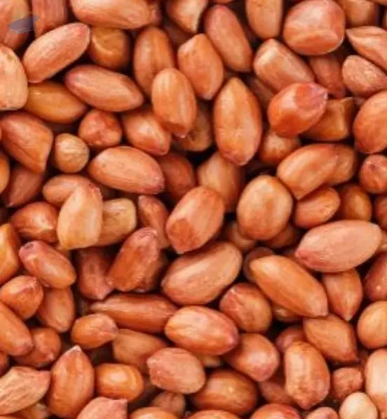 Peanuts