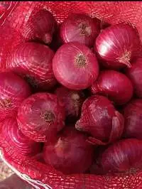 onion