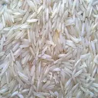 1509 White
