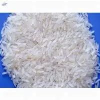 IRRI-9 White