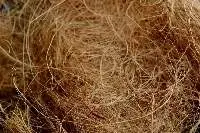 Coco Fiber