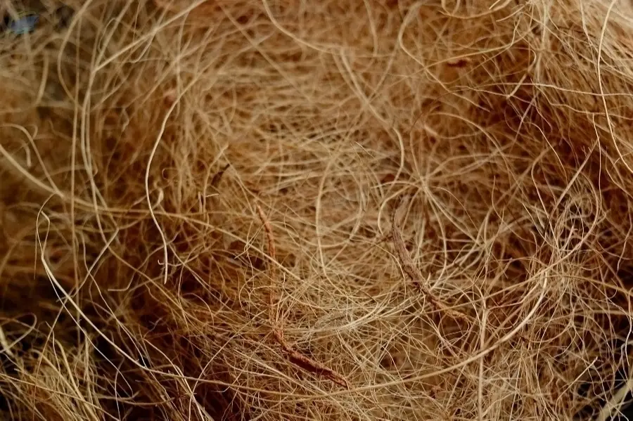 Coco Fiber