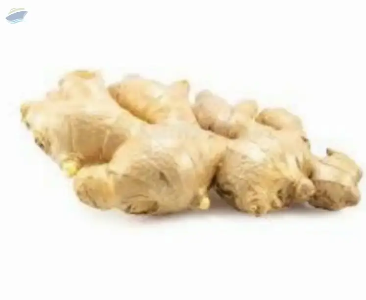 Ginger