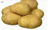 Potato