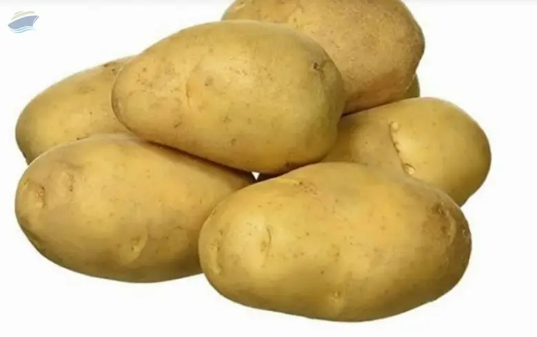 Potato