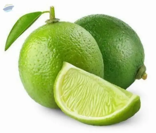 Fresh Lemon