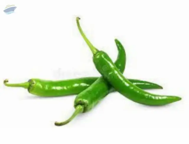 Fresh Green Chilli