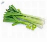 Spring Onion
