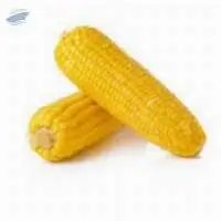 Corn