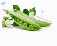 Green Peas