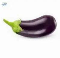Eggplant