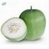 Vegetable