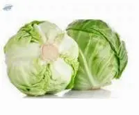 Cabbage