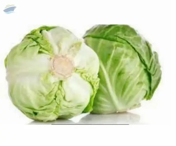 Cabbage