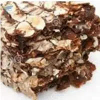 Tamarind
