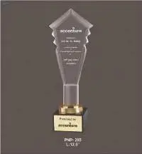 Acrylic Trophy