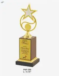 Gold Star Award