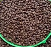 Robusta Coffee Beans