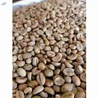 Robusta Green Coffee Beans