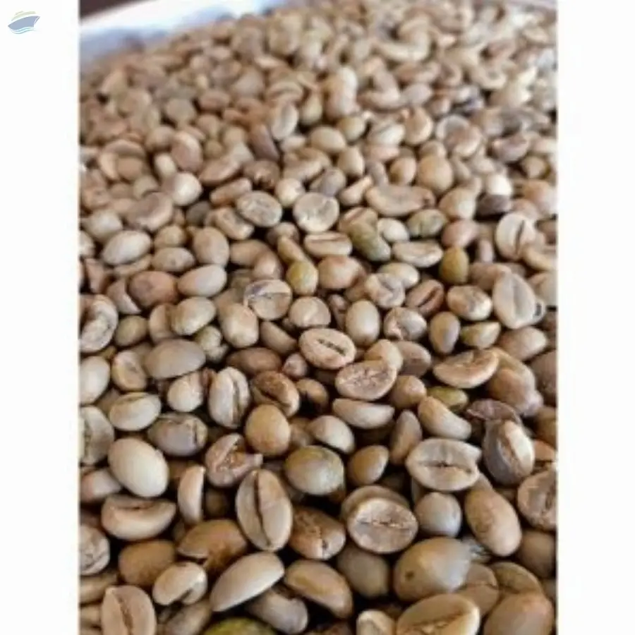 Robusta Green Coffee Beans