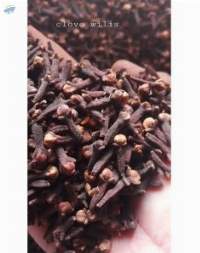 Cloves
