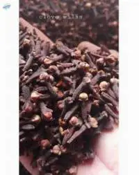 Cloves