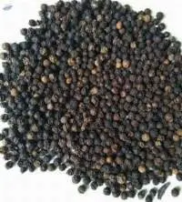 Black Pepper