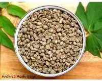 Arabica Coffee Beans