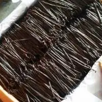 Vanilla Beans Tahitian