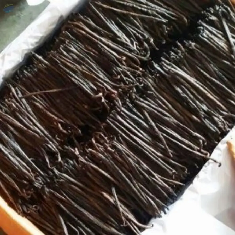 Vanilla Beans Tahitian
