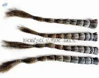 Horse Tail Hair
