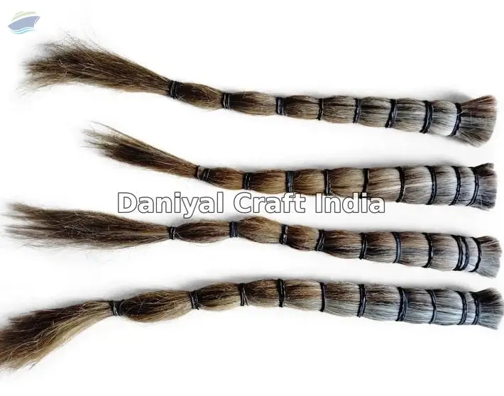Horse Tail Hair