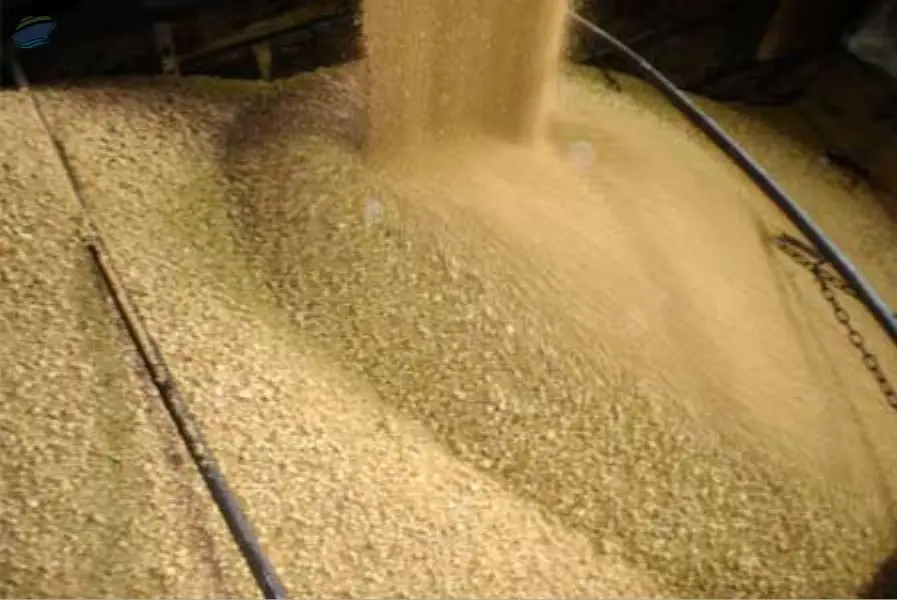 Animal Feed