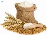 Wheat / Meslin Flour