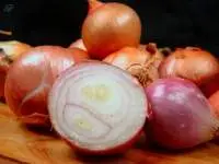 Fresh Onions