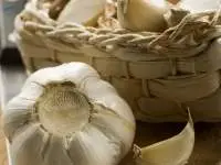 Garlic