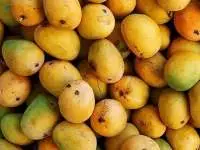 Mangoes